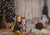 Christmas photography backdrop for family