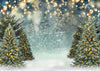 Winter photography background Xmas tree backdrop