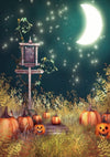 Halloween photography background pumpkin elf and moon-cheap vinyl backdrop fabric background photography