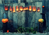 Halloween background horror night backdrops-cheap vinyl backdrop fabric background photography