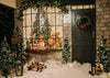 Winter backdrop christmas photography background