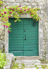 Purple flower and green door backdrop - whosedrop