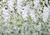 White flower backdrop for child/baby photography-cheap vinyl backdrop fabric background photography