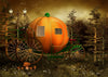 Child photography pumpkin carriage backdrop for Halloween - whosedrop