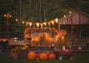 Autumn forest backdrops with pumpkins-cheap vinyl backdrop fabric background photography