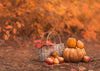 Autumn maple leaf backdrops Pumpkin Thanksgiving  background