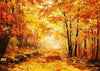 Autumn forest backdrop oil painting maple leaf pictures-cheap vinyl backdrop fabric background photography