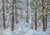 Winter forest backdrop birch background