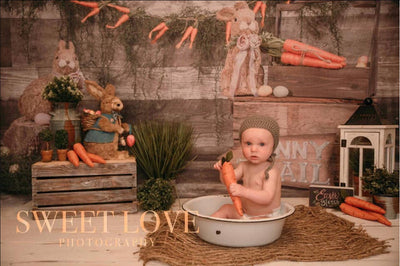 Easter backdrop with bunny and carrot-cheap vinyl backdrop fabric background photography