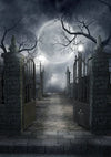 Iron gate in night for Halloween photography backdrops - whosedrop