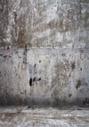 Retro building cement wall backdrops - whosedrop