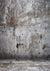 Retro building cement wall backdrops