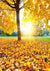 Autumn golden yellow leaves backdrop scenery background