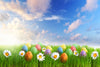 Colorful Easter eggs flowers in the grass blue sky background-cheap vinyl backdrop fabric background photography