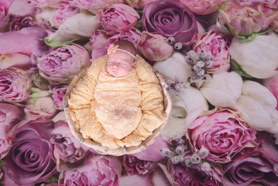 Pink flowers for backdrop newborn background - whosedrop