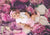 Pink flowers backdrop newborn/wedding