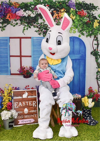 Blue door backdrop spring Easter background with lawn - whosedrop
