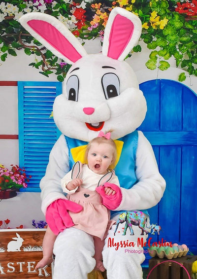 Blue door backdrop spring Easter background with lawn - whosedrop