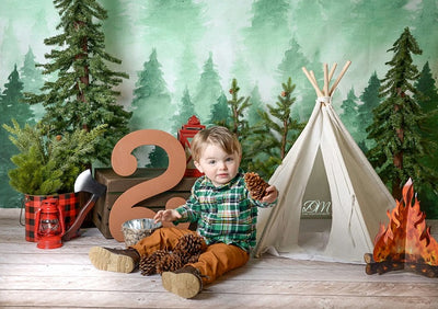Winter watercolor forest pine photography backdrop-cheap vinyl backdrop fabric background photography