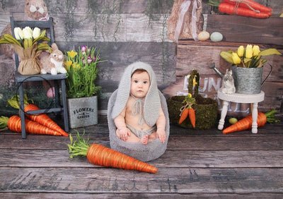 Easter backdrop with bunny and carrot-cheap vinyl backdrop fabric background photography