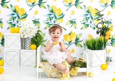 Lemon pattern background summer photo backdrops-cheap vinyl backdrop fabric background photography