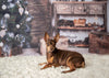 Vintage christmas backdrop living room background-cheap vinyl backdrop fabric background photography