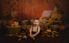 Thanksgiving pumpkin backdrops Autumn background-cheap vinyl backdrop fabric background photography