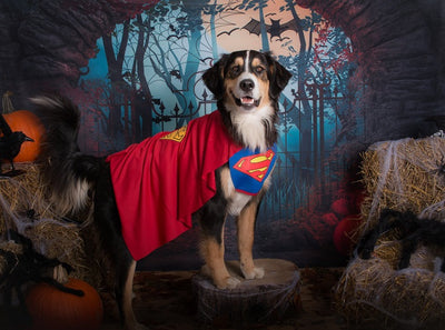 Halloween theme background horror night backdrop-cheap vinyl backdrop fabric background photography