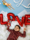 Valentines day backdrop with white house-cheap vinyl backdrop fabric background photography
