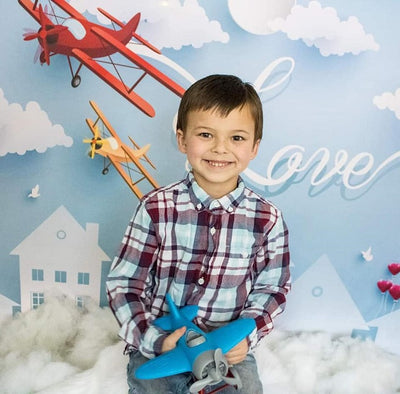 Valentines day backdrop with white house-cheap vinyl backdrop fabric background photography