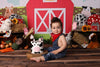 Children's hut animated backdrop spring background cake smash-cheap vinyl backdrop fabric background photography