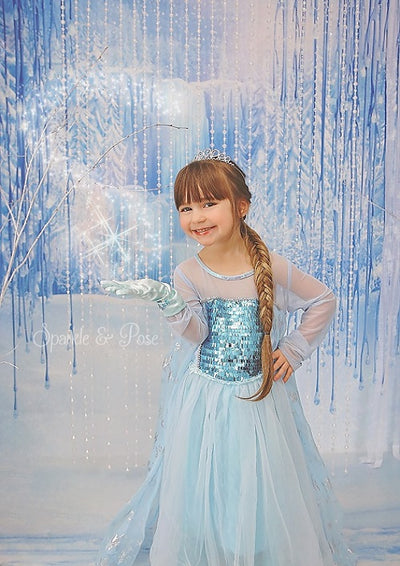 Frozen Winter Blue Backdrop princess theme - whosedrop