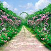 Scenery backdrop flowers and arches for wedding photography - whosedrop