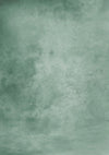 Light green abstract backdrop for portrait photo-cheap vinyl backdrop fabric background photography