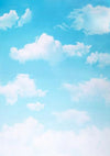 Blue sky white cloud backdrop children summer-cheap vinyl backdrop fabric background photography