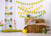 Easter photography backdrops living room background-cheap vinyl backdrop fabric background photography