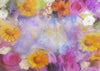 Oil painting color flower backdrop for newborn-cheap vinyl backdrop fabric background photography
