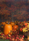 Halloween backdrop maple leaves and pumpkins-cheap vinyl backdrop fabric background photography