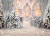 Christmas photography backdrop snow scene background