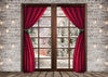 Window backdrop christmas photo background