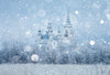 Bokeh photo backdrop winter castle background-cheap vinyl backdrop fabric background photography
