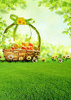 Easter photography backdrops with colorful eggs-cheap vinyl backdrop fabric background photography
