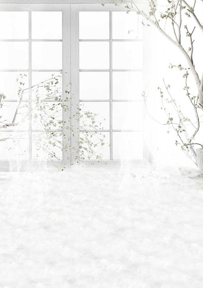 White window backdrop dreamy background - whosedrop