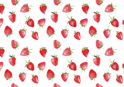 Summer photography backdrop strawberry background-cheap vinyl backdrop fabric background photography