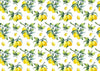 Lemon pattern background summer photo backdrops-cheap vinyl backdrop fabric background photography