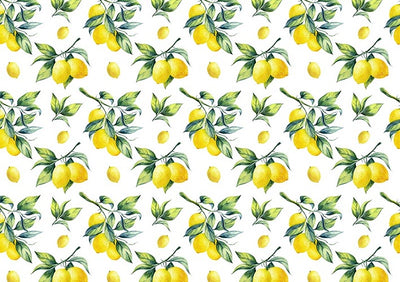Lemon pattern background summer photo backdrops-cheap vinyl backdrop fabric background photography