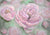 Fine art background pink floral backdrop