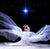 Wedding props bridal glittering bridal veil white wedding photo shoot outside