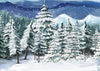 Winer backdrop pine tree forest background