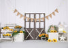 Cake smash backdrop sunflower background